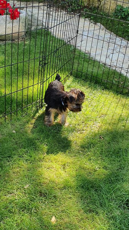 20200626 170302 romie 1